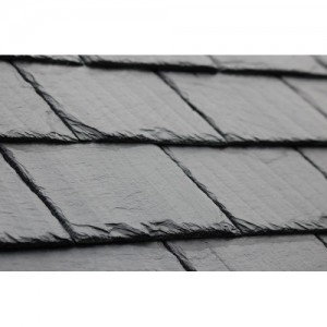 Slānekļa dakstiņi fasādei „Vein”, 40 x 25 cm, gab. 